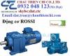 Motor Rossi Gearmotors Distributor - ROSSI Pump - anh 2