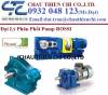 Motor Rossi Gearmotors Distributor - ROSSI Pump - anh 4
